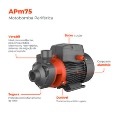 Bomba d´água Periférica APM75 1,0HP - Lepono